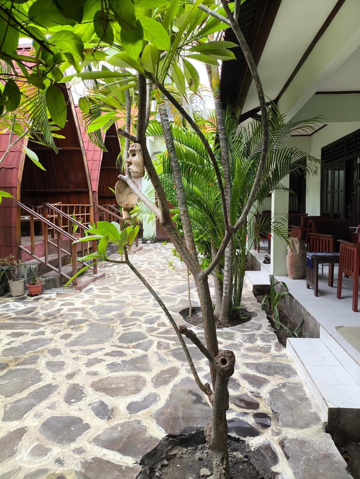 Gili Mesari Cottages & Homestay Τζίλι Τραγουανγκάν Εξωτερικό φωτογραφία