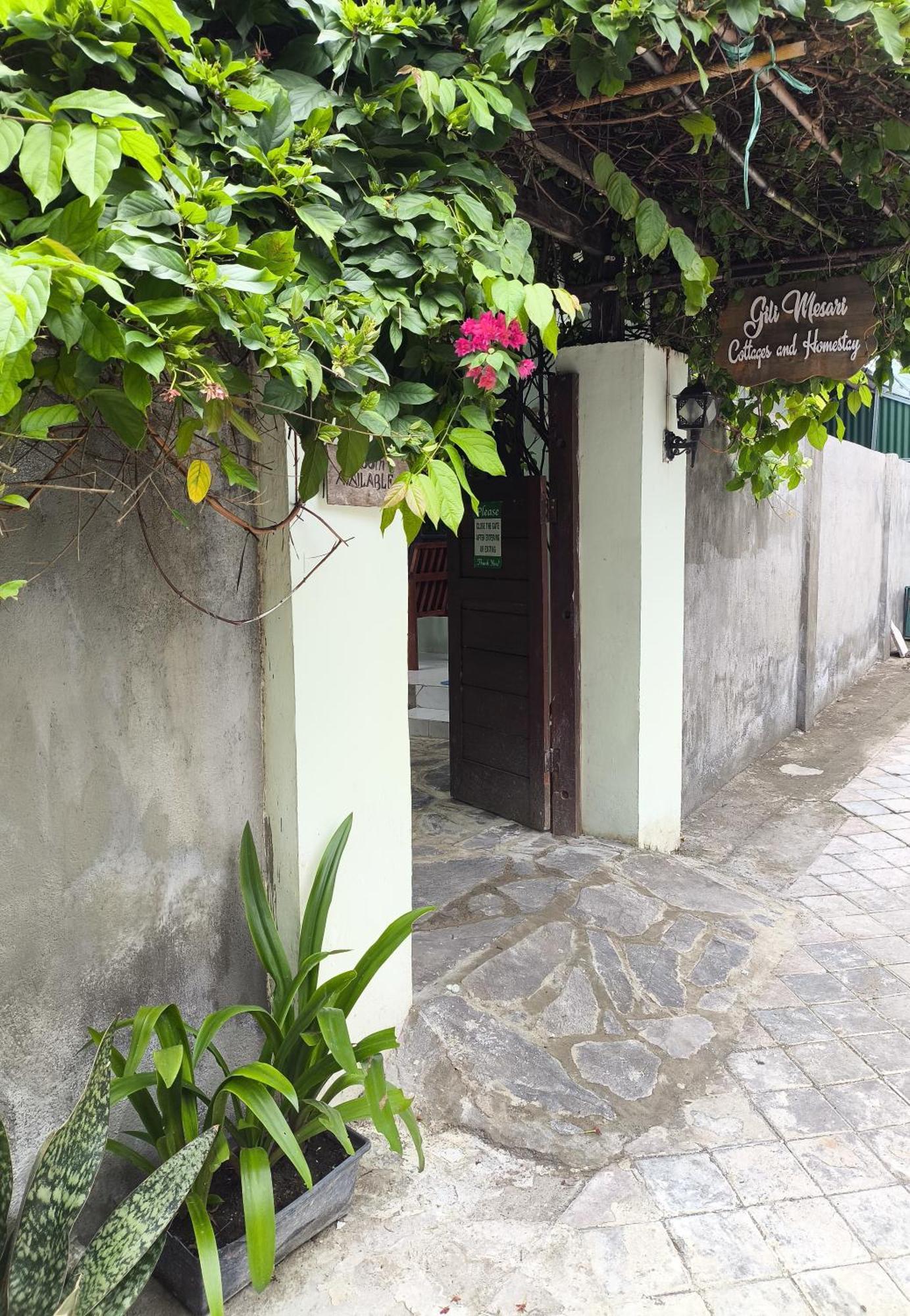 Gili Mesari Cottages & Homestay Τζίλι Τραγουανγκάν Εξωτερικό φωτογραφία